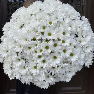 Букет з 50 хрезантем
